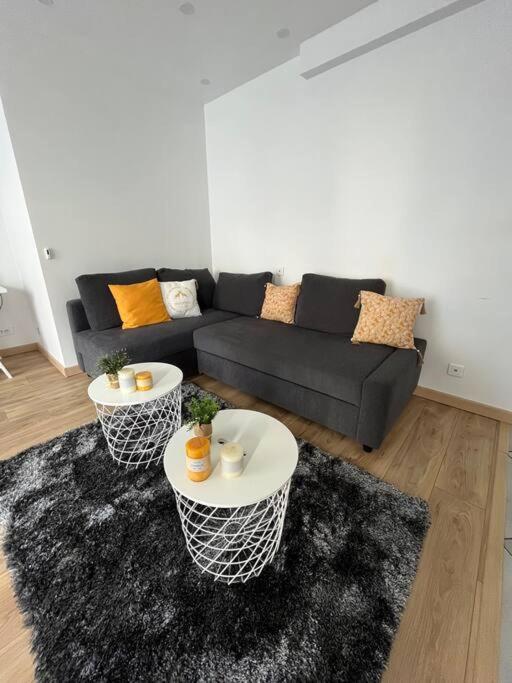 Superbe Appartement Moderne En Rez-De-Chaussee Ozoir-la-Ferrière Extérieur photo