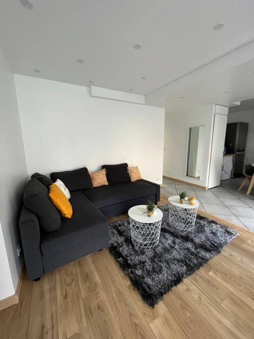 Superbe Appartement Moderne En Rez-De-Chaussee Ozoir-la-Ferrière Extérieur photo