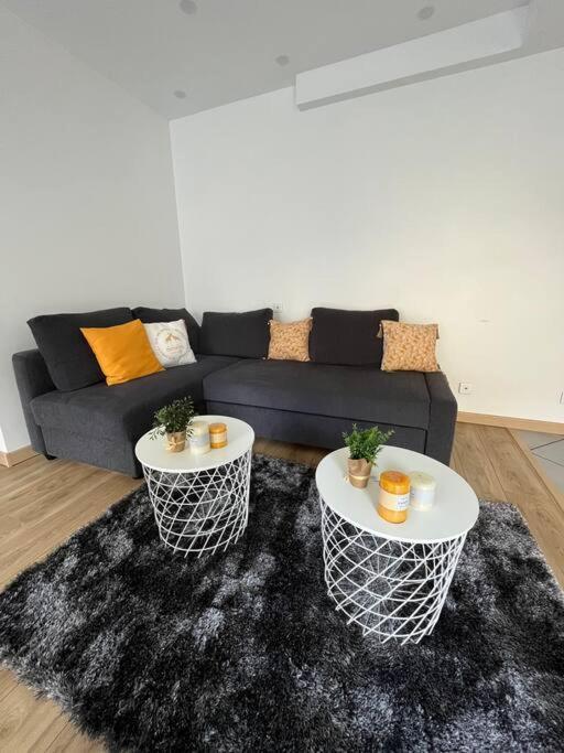 Superbe Appartement Moderne En Rez-De-Chaussee Ozoir-la-Ferrière Extérieur photo