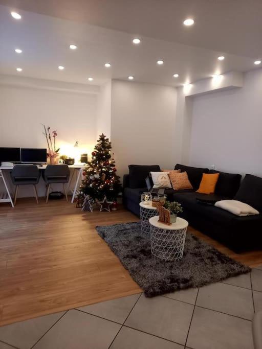 Superbe Appartement Moderne En Rez-De-Chaussee Ozoir-la-Ferrière Extérieur photo